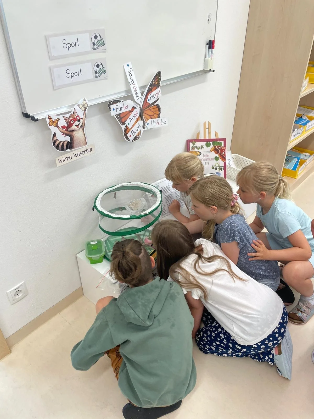 Bild der Galerie