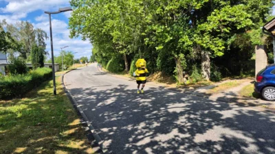 Foto des Albums: Honiglauf Horn 2026