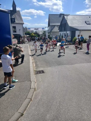 Foto des Albums: Honiglauf Horn 2026