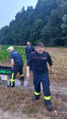 Fotoalbum Nachtwanderung Meyenburg in Stepenitz