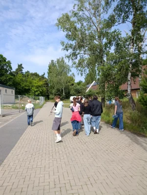 Foto des Albums: Müll 2026