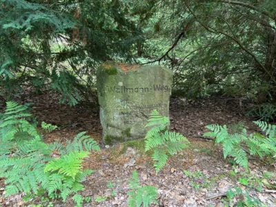 Foto des Albums: Von Lauenau durch den Deister nach Egestorf
