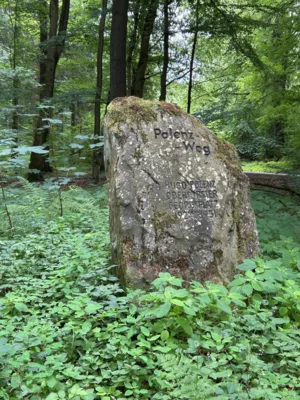 Foto des Albums: Von Lauenau durch den Deister nach Egestorf