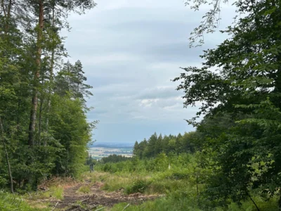 Foto des Albums: Von Lauenau durch den Deister nach Egestorf