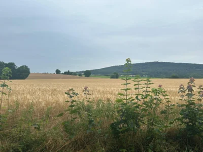 Foto des Albums: Von Lauenau durch den Deister nach Egestorf