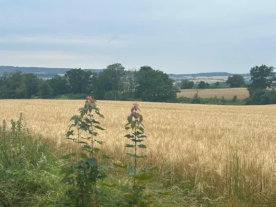 Foto des Albums: Von Lauenau durch den Deister nach Egestorf