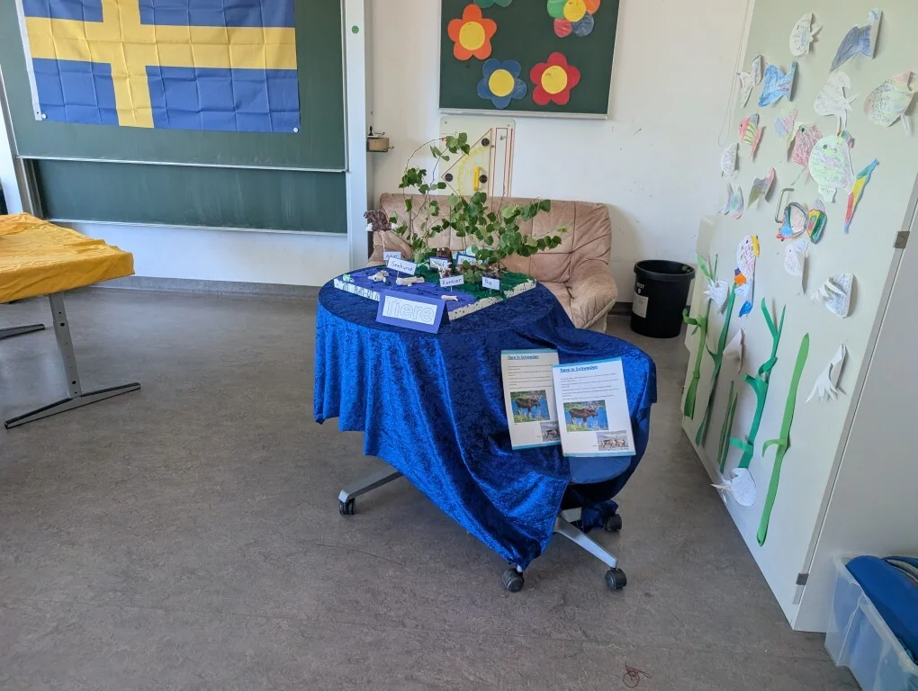 Bild der Galerie