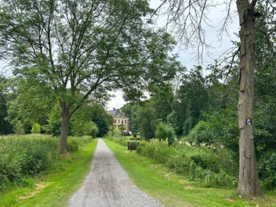 Foto des Albums: Wandern von Steinhude nach Hagenburg