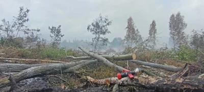 Waldbrand  (Bild vergr&ouml;&szlig;ern)