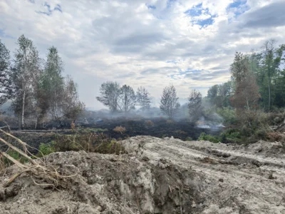 Waldbrand  (Bild vergr&ouml;&szlig;ern)