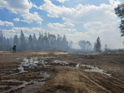 Waldbrand  (Bild vergr&ouml;&szlig;ern)