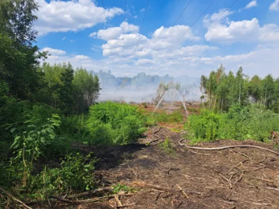 Waldbrand  (Bild vergr&ouml;&szlig;ern)