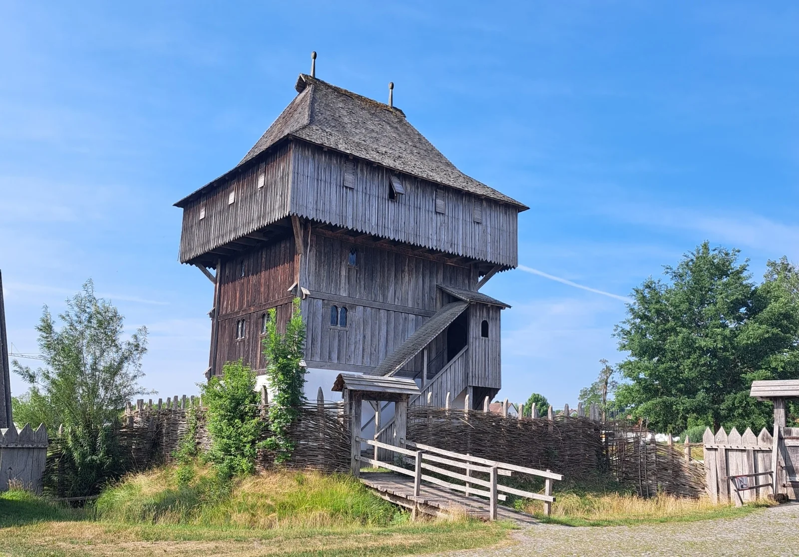 Bild der Galerie