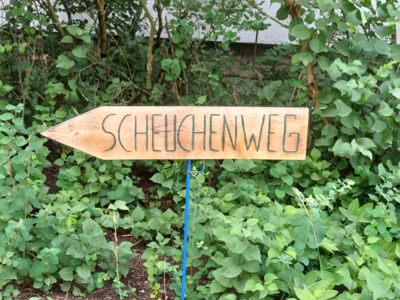 Foto des Albums: Vogelscheuchenfest 2026 - Impressionen