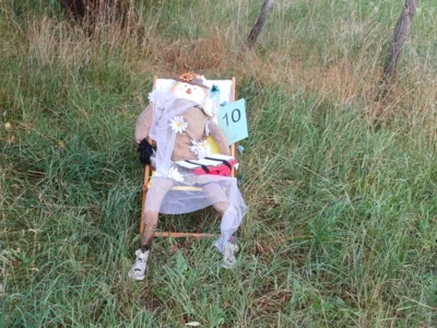 Scheuche Nr. 10  (Bild vergr&ouml;&szlig;ern)