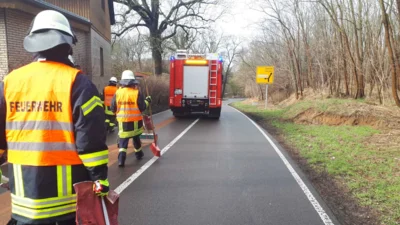 Foto des Albums: FF Falkenhagen