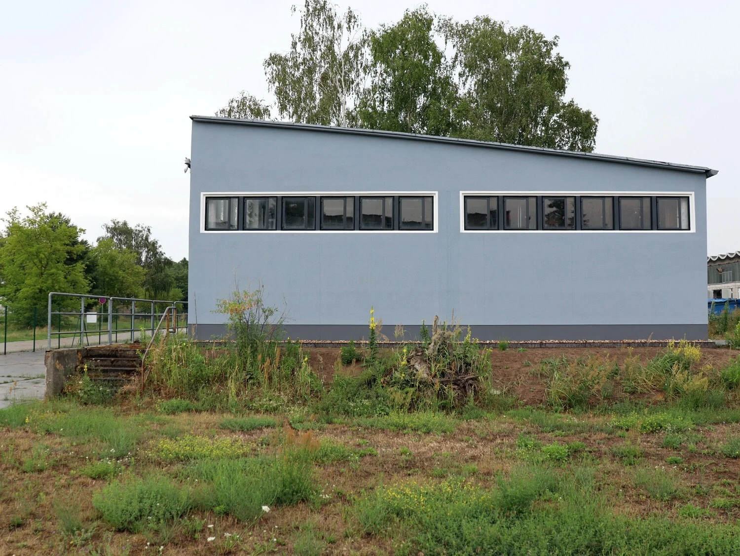 Bild der Galerie