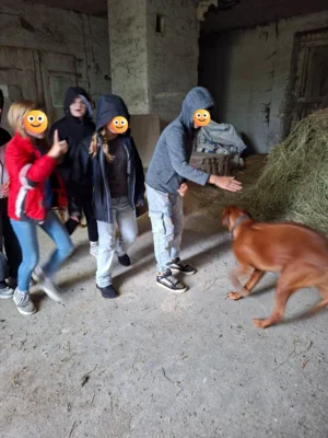 Foto des Albums: Ein besonderer Schuljahresabschluss für die Klasse 4