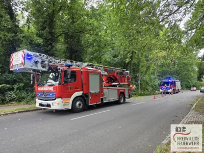 Foto des Albums: Einsatz Nr.:77/2026 H:Natur