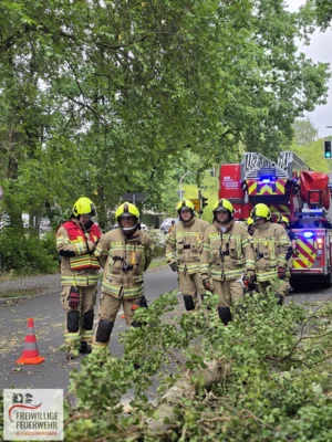 Foto des Albums: Einsatz Nr.:77/2026 H:Natur