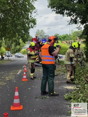 Foto des Albums: Einsatz Nr.:77/2026 H:Natur
