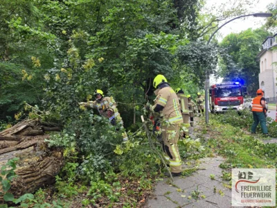 Foto des Albums: Einsatz Nr.:77/2026 H:Natur
