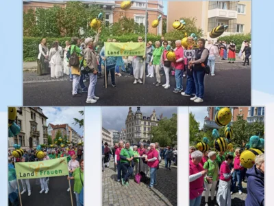 Foto des Albums: Tag der Niedersachsen