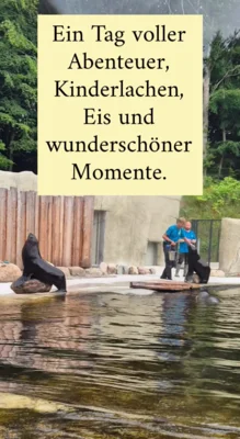 Foto des Albums: 🦁🌿 Ausflugstag im Zoo! 🚌💜