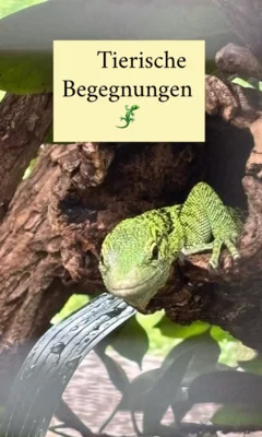 Foto des Albums: 🦁🌿 Ausflugstag im Zoo! 🚌💜