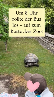 Foto des Albums: 🦁🌿 Ausflugstag im Zoo! 🚌💜