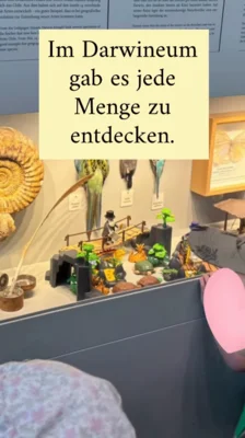 Foto des Albums: 🦁🌿 Ausflugstag im Zoo! 🚌💜