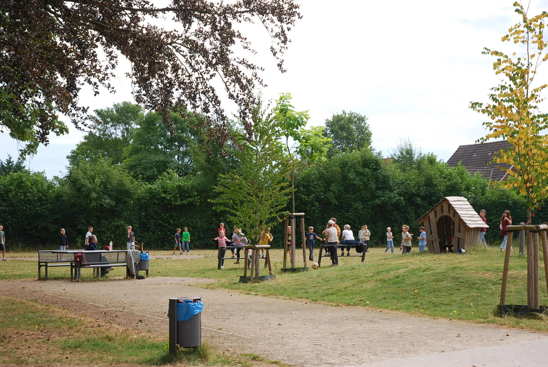 Bild der Galerie