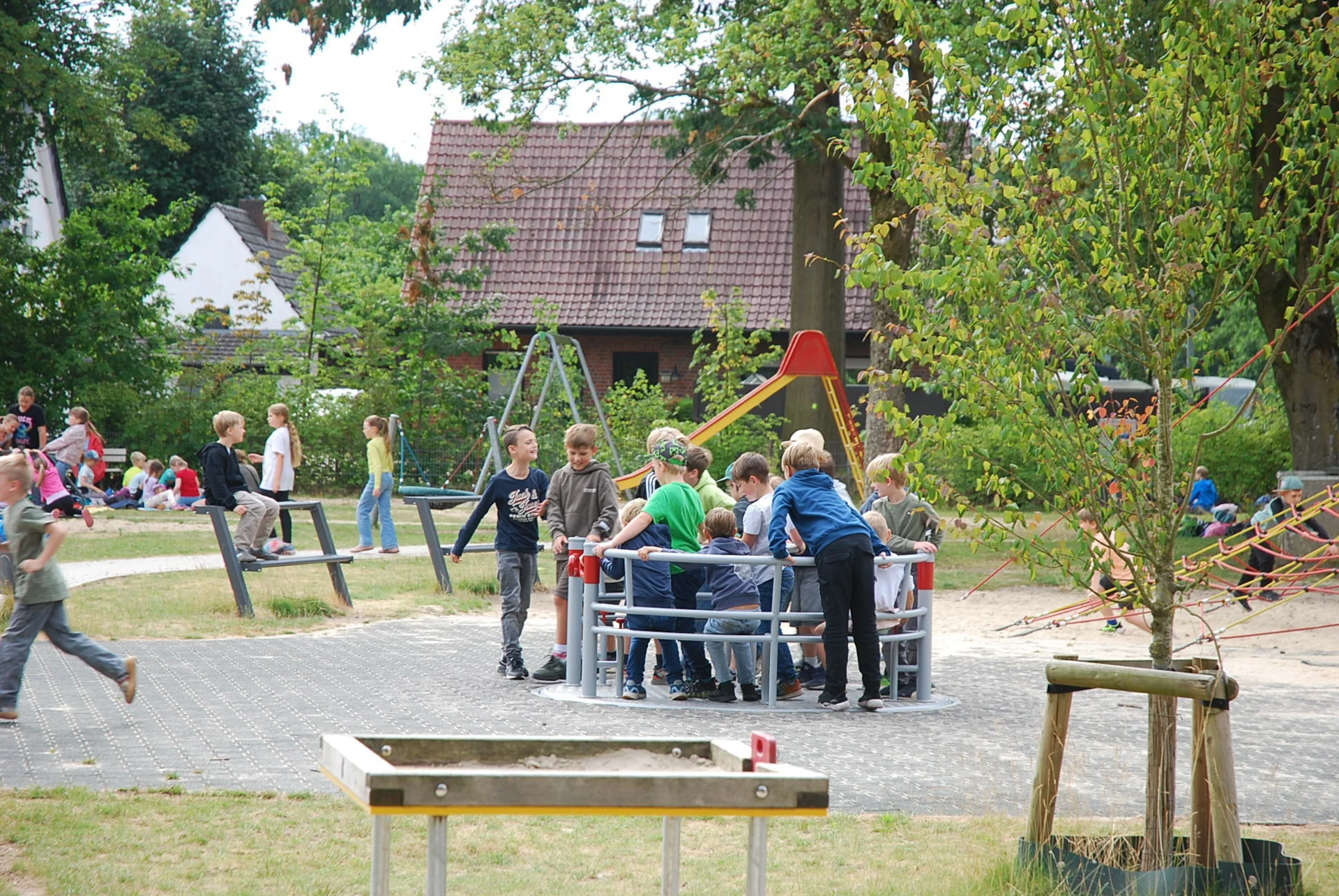 Bild der Galerie