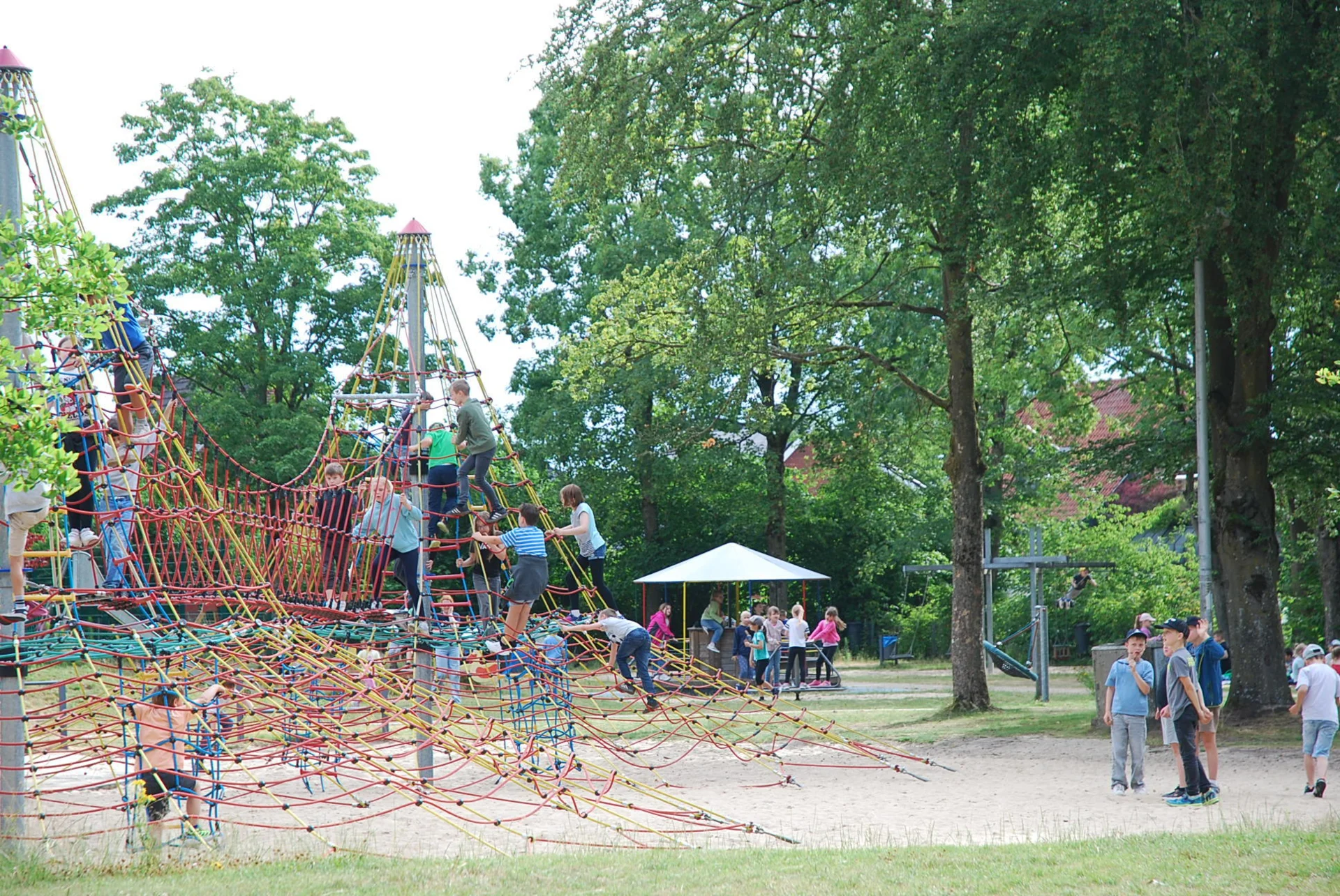 Bild der Galerie