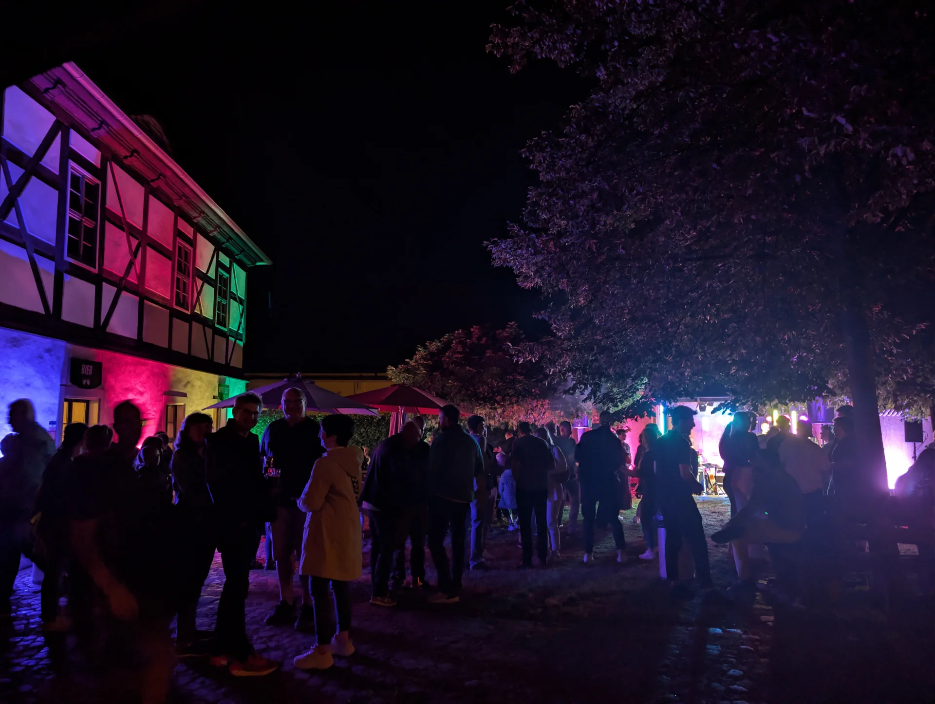 Bild der Galerie