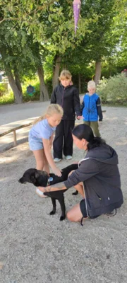 Foto des Albums: Sommerferien 
