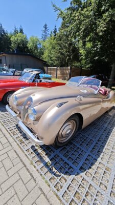 Foto des Albums: Die Zielfahrt 2026