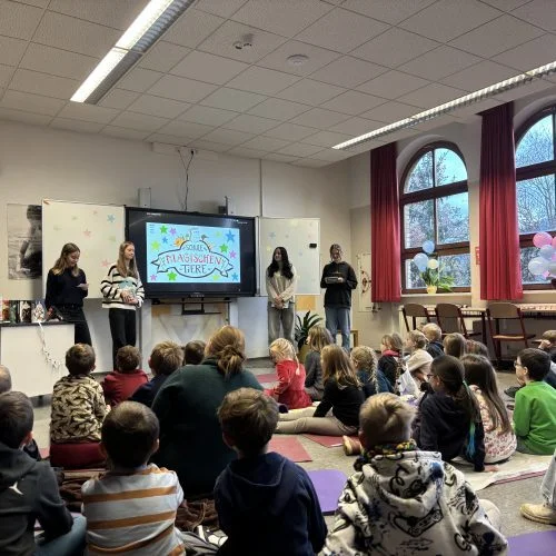 Bild der Galerie
