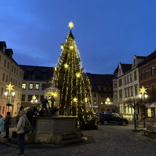 Bild der Galerie