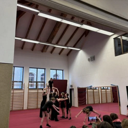 Bild der Galerie