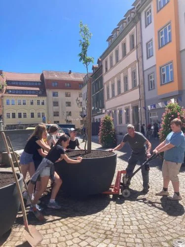 Bild der Galerie