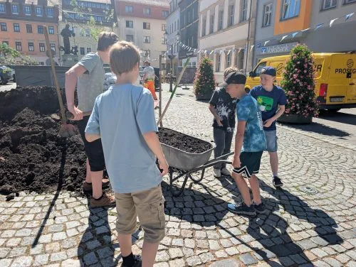 Bild der Galerie