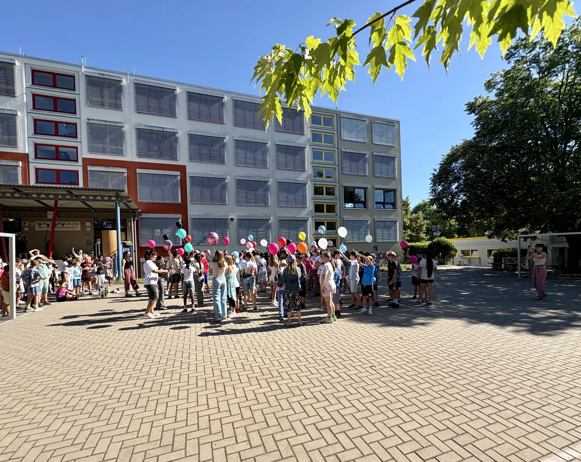 Bild der Galerie