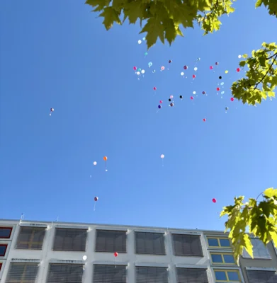 Foto des Albums: Schulfest 2025/26