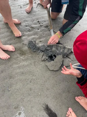 Foto des Albums: Klassenfahrt an die Nordsee