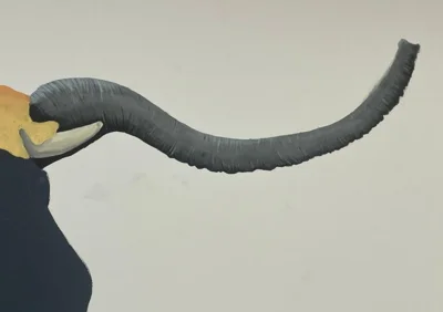 Detail - Elefantenr&uuml;ssel  (Bild vergr&ouml;&szlig;ern)
