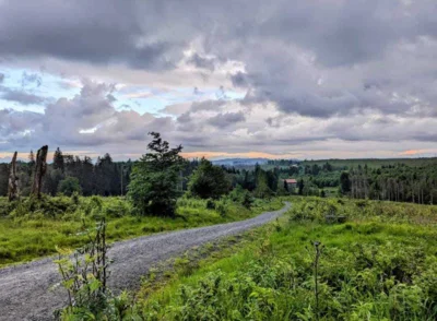 Foto des Albums: Klassenfahrt in den Harz