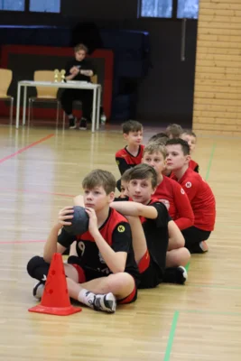 Foto des Albums: Der Weg zum Landesfinale - Jugend trainiert für Olympia