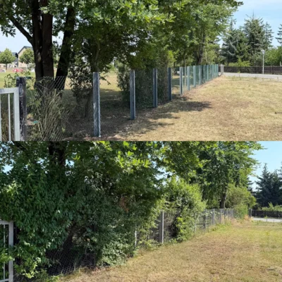 Foto des Albums: Arbeitseinsatz