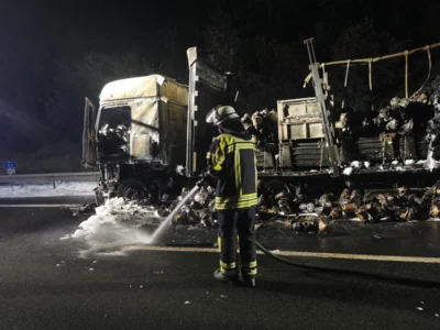 Foto des Albums: Brand LKW, A72 vor Hof/Nord am 08.07.26